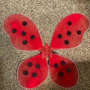 Character Day/Halloween costume & Ladybug Girl and the Pumpkin Patch Book